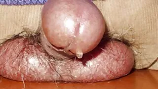 Aistringa mergina Laižalų vyrų varpos