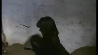 Jauni don donuan fucks šviesiaplaukė iš paskos ir atitinka jos visiškai
