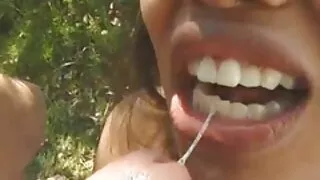 Šviesūs žvėris dirbo juodas gaidys